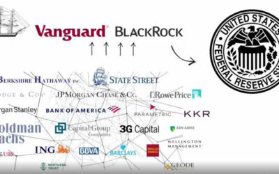 Vanguard and BlackRock Own the World