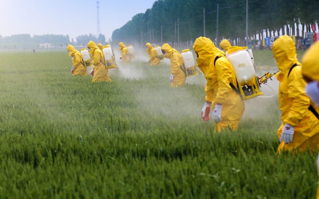 Bathed in Pesticides: the Narrative of Deception