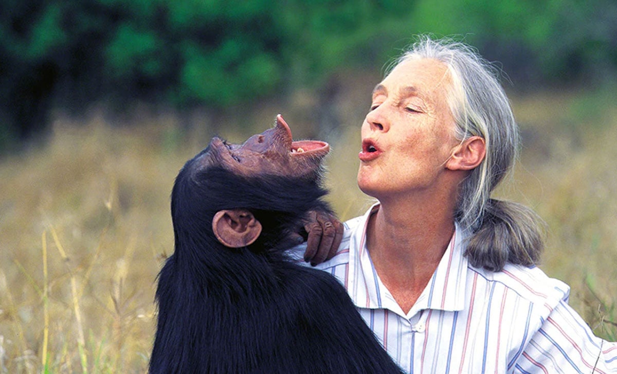 Jane Goodall: Reset world population at 461 million