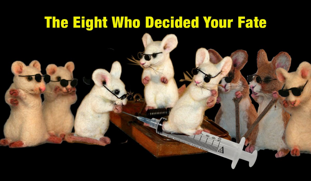 How Eight Mice Decided the Fate of Your Next Mandatory Jab