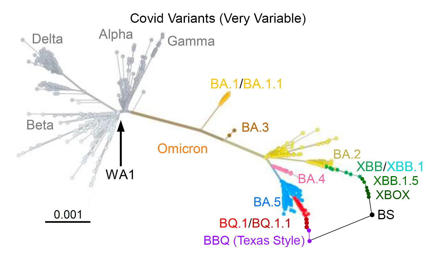 Another Covid “variant”: Omicron XBB & the self-driving narrative