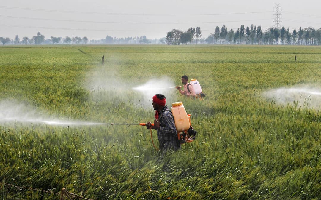 Pesticides and Climate Change Link is a Vicious Cycle