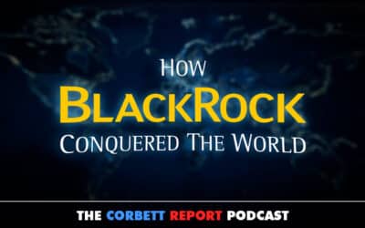 How BlackRock Conquered the World