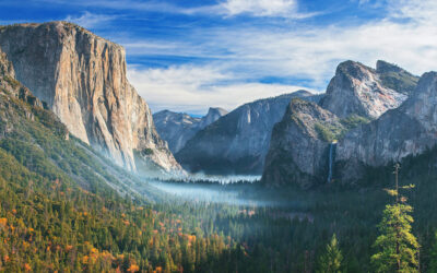 Let’s Steal the National Parks!