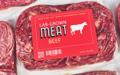 lab-grown meat