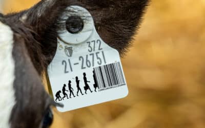 Congress Must Stop Electronic Animal ID Mandate