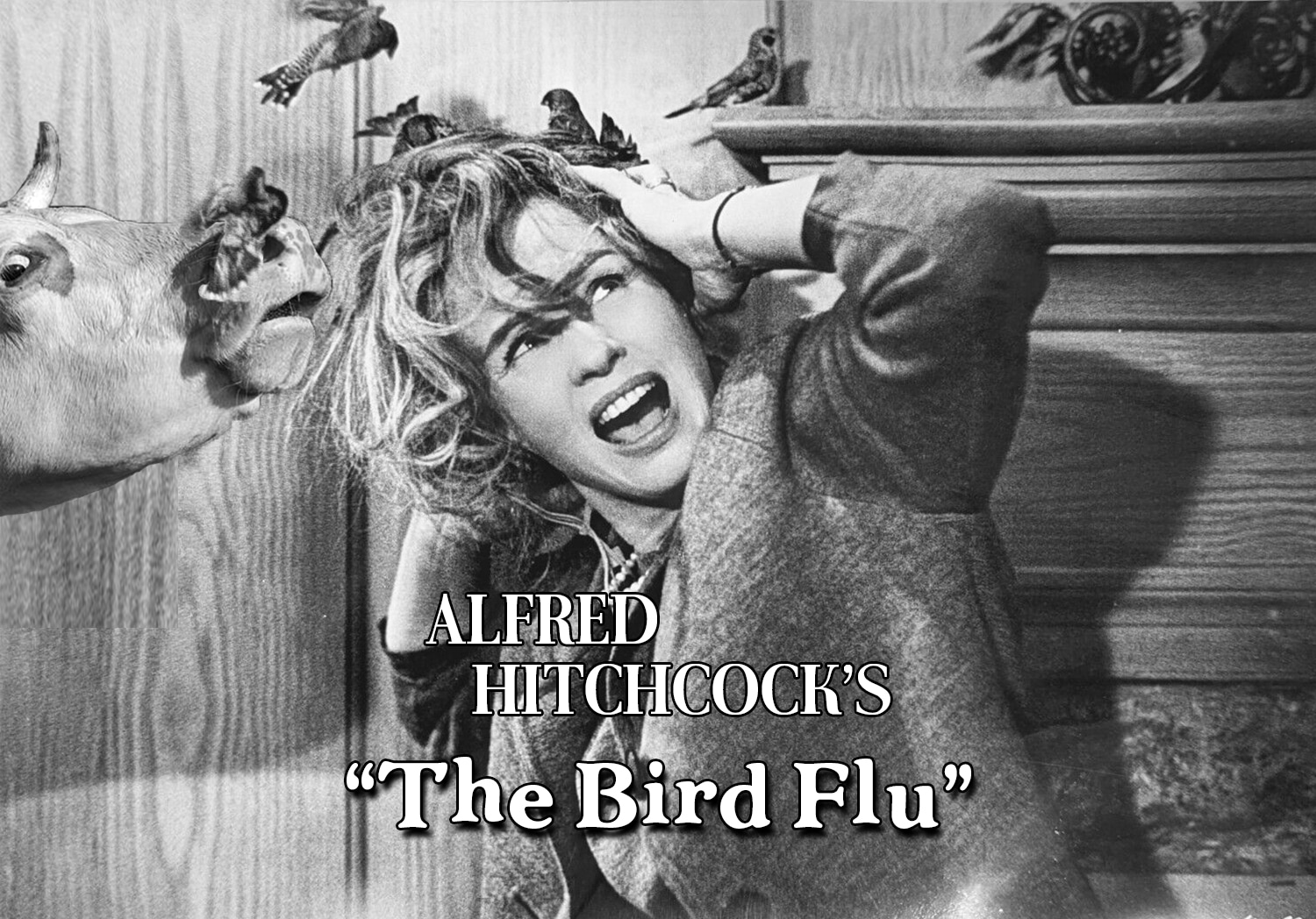 Bird Flu