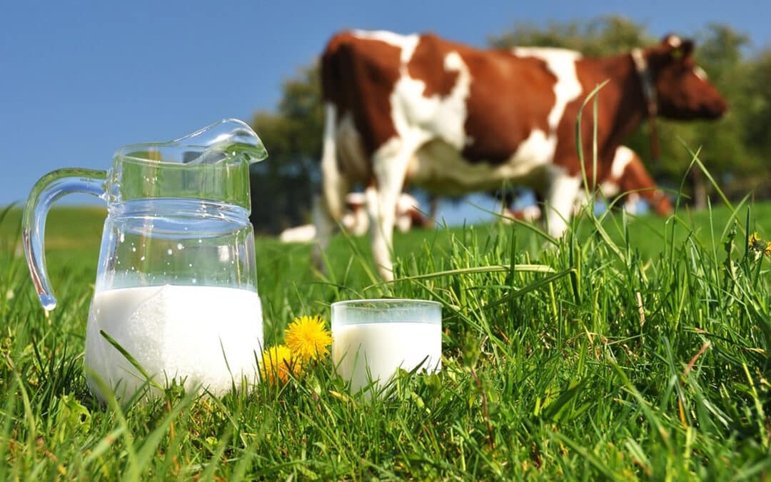 Raw Milk at the Crossroads, Again