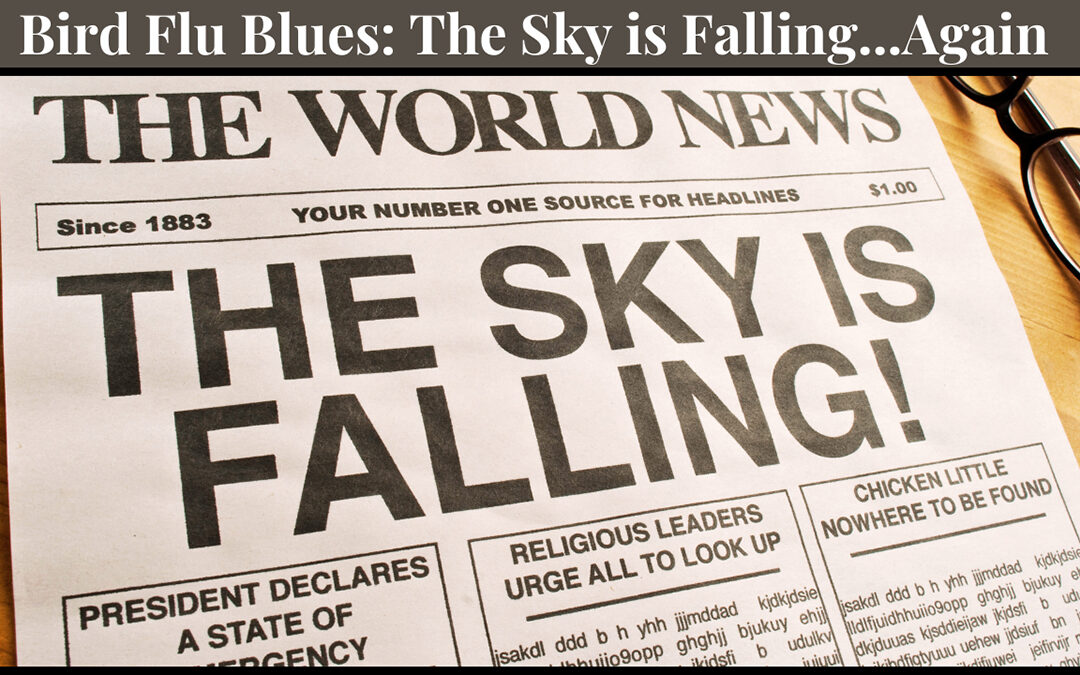 The Bird Flu Blues: The Sky Is Falling…Again