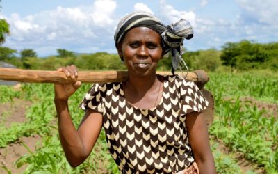 War on Farmers: World Bank Sowing Seed Colonialism in Africa