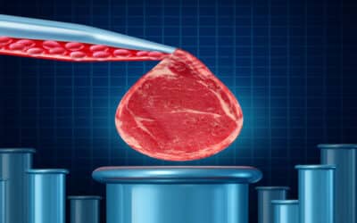 Lab meat down on the farm: It’s going to happen, say advocates