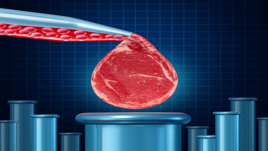 Lab meat down on the farm: It’s going to happen, say advocates