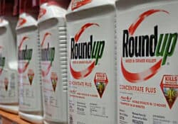 Roundup