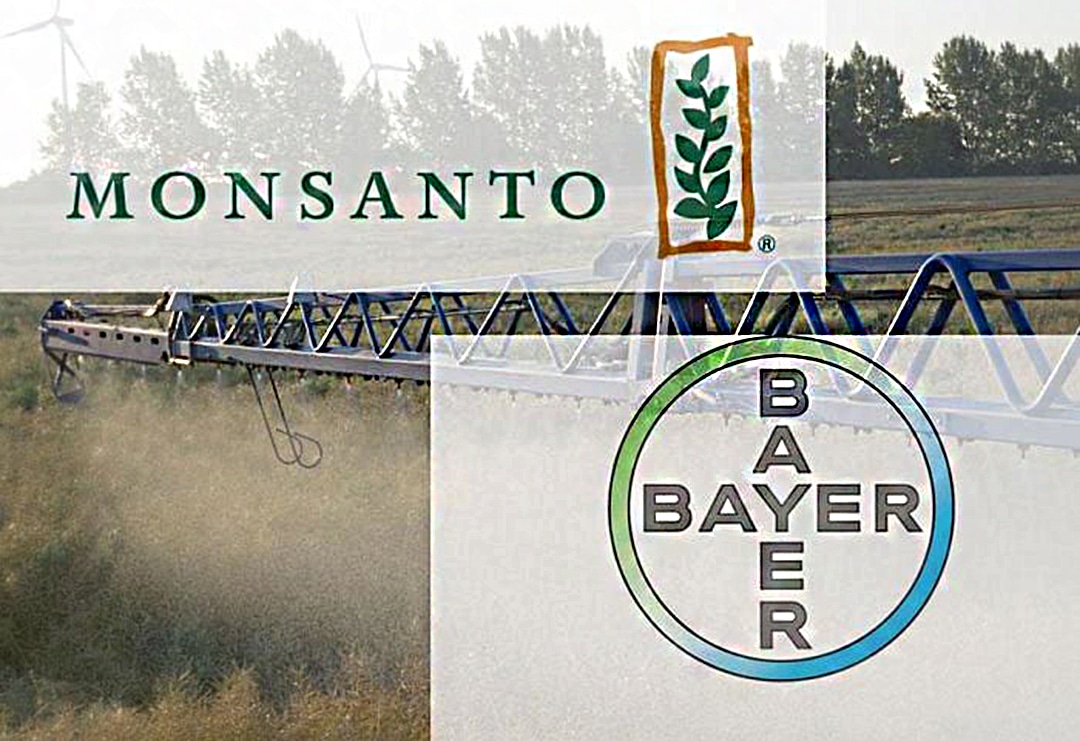 Bayer