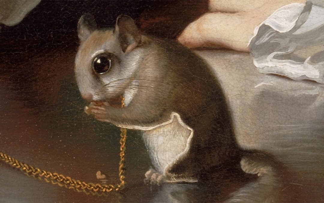 The Surprising Link between Squirrels and the Founding Fathers