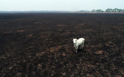 Carbon farming’s hot air won’t cool the planet