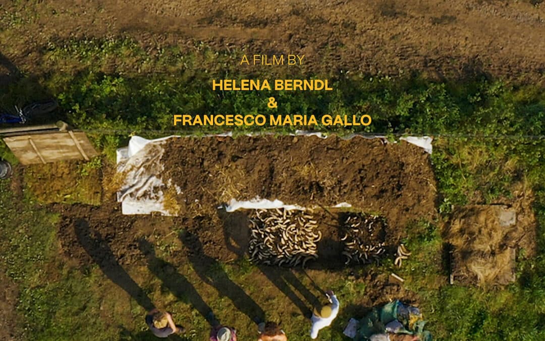 New film showcases what’s wrong with food and farming