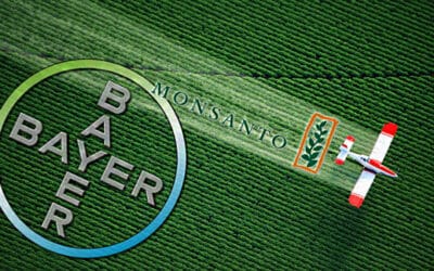 From Food to Development, It’s a Masterpiece of Control